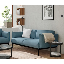 Диван Ikea Applaryd/Gunnared 2-местный (Голубой)