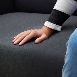 Canapea Ikea Linanas 2-locuri (Vissle Gri Inchis) Thumb