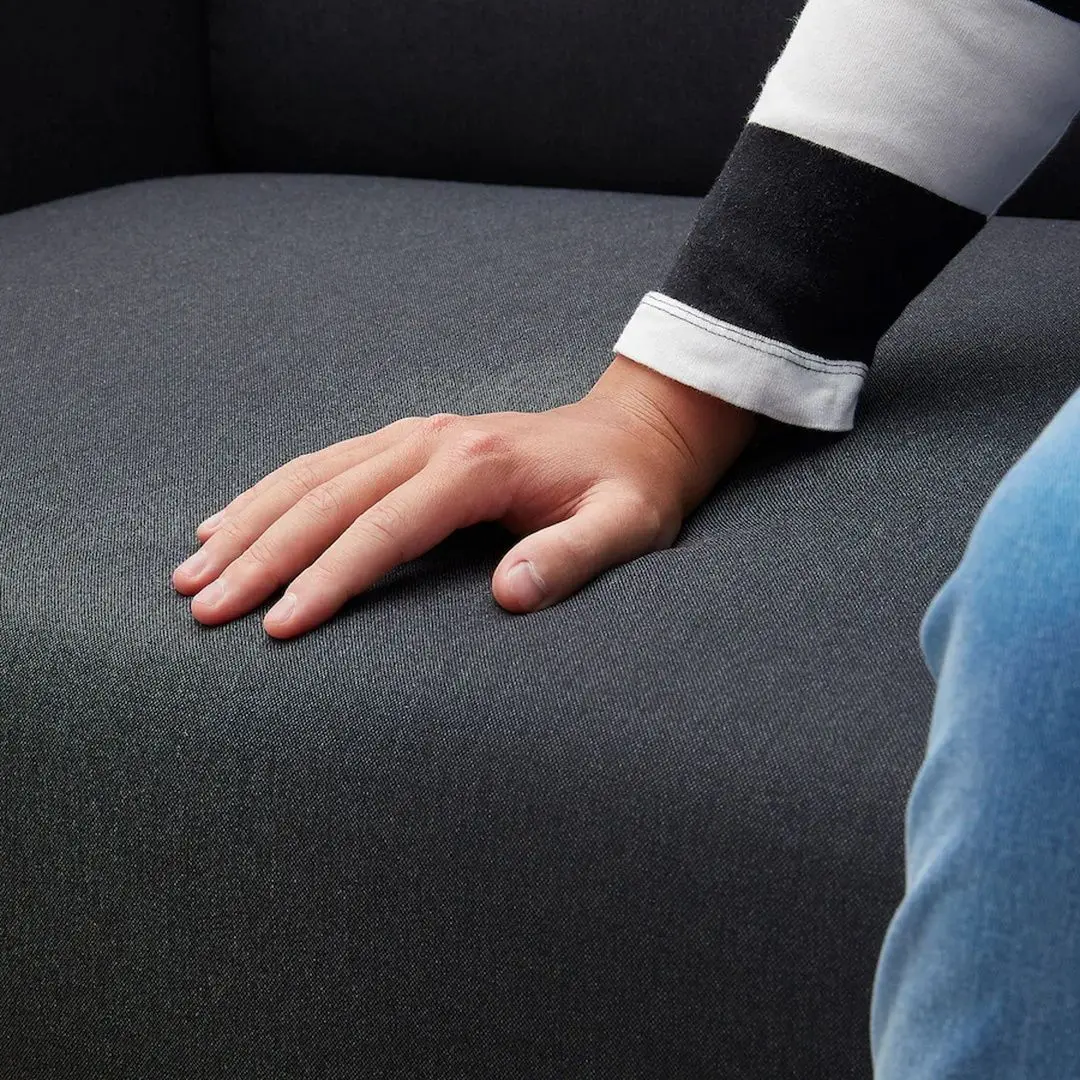 Canapea Ikea Linanas 2-locuri (Vissle Gri Inchis)