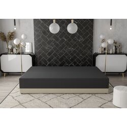 Canapea Space Meble Toledo Rainbow 15/Rainbow 83 (Black/Gray-Beige) Thumb