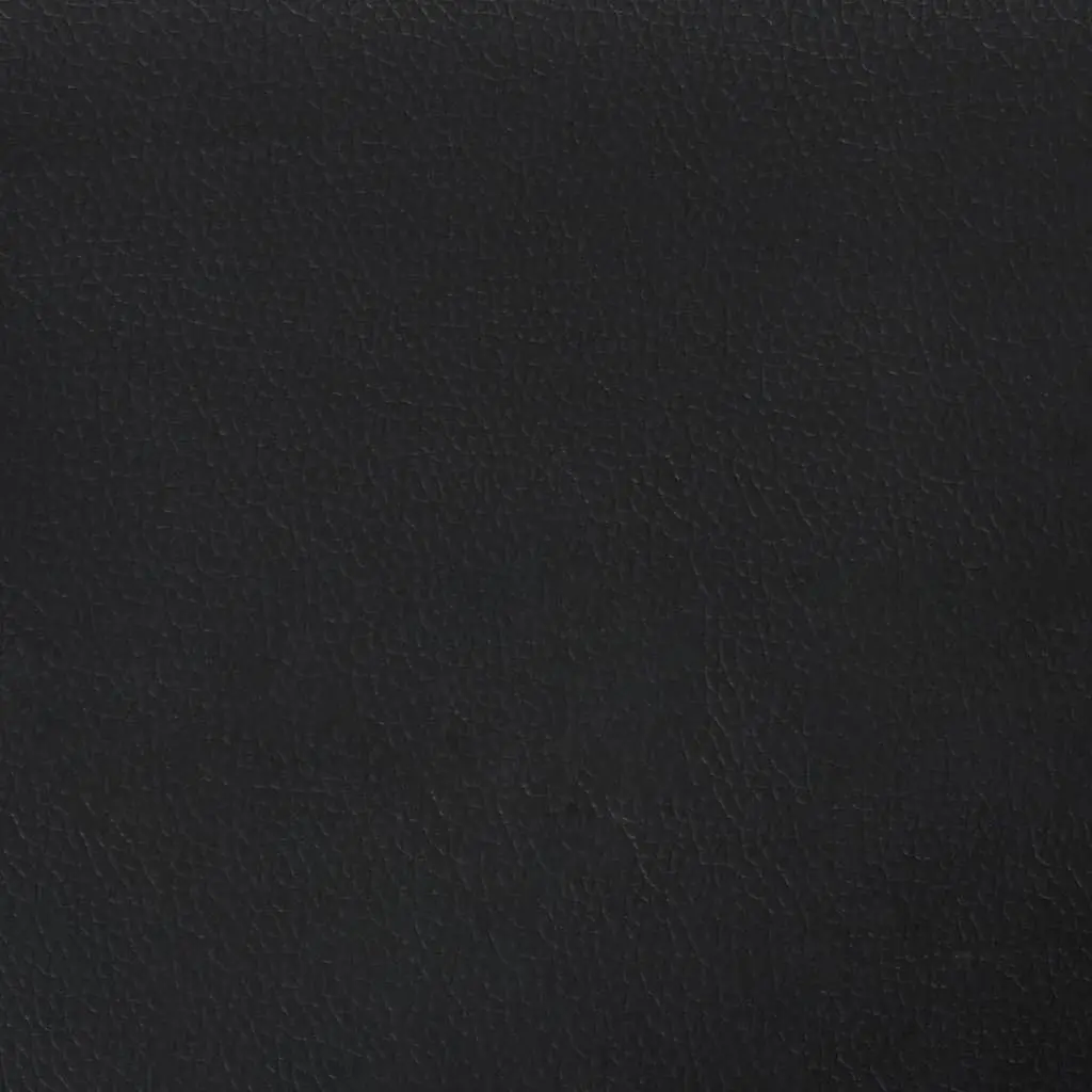 Canapea VidaXL 359117 (Black)