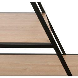 Стеллаж DP Agis (Black/Wood) Thumb