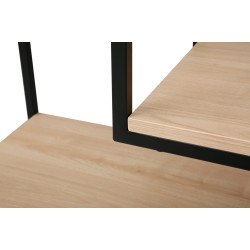 Стеллаж DP Aries (Black/Wood) Thumb