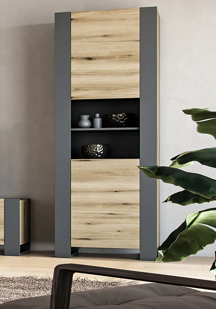 Etajera Magnusplus Combo CO8 79.6x200x42.1 (Graphite/Evoke Coast Oak)