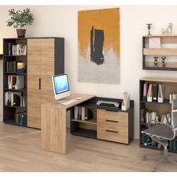 Etajera Tempo Kondela Klaudius Tip 4 (Graphite/Artisan Oak) Thumb