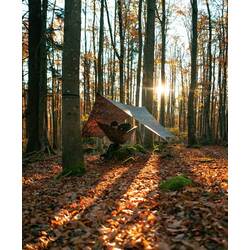 Hamac Amazonas Moskito-Traveller Forest (Black/Brown) Thumb