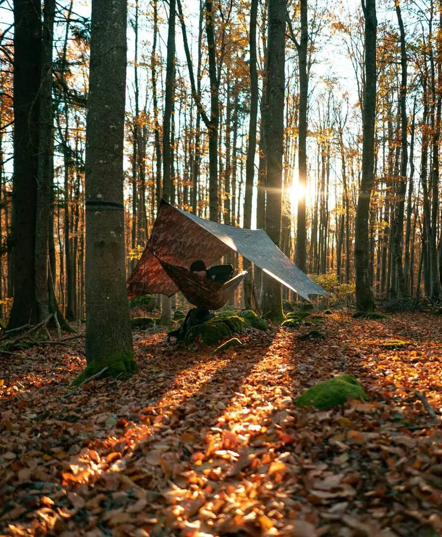 Hamac Amazonas Moskito-Traveller Forest (Black/Brown)