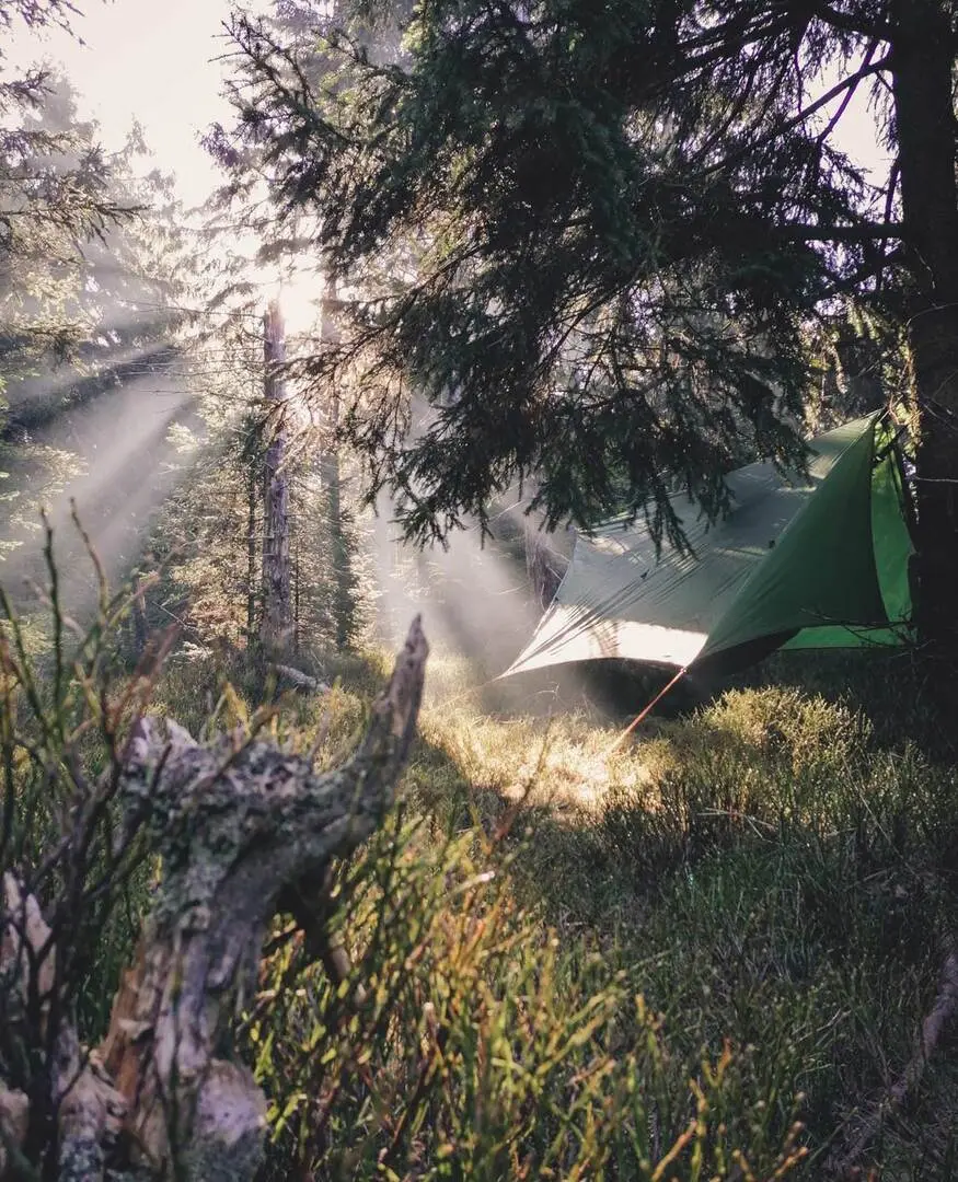Тент для гамака Amazonas Wing Tarp (Green)