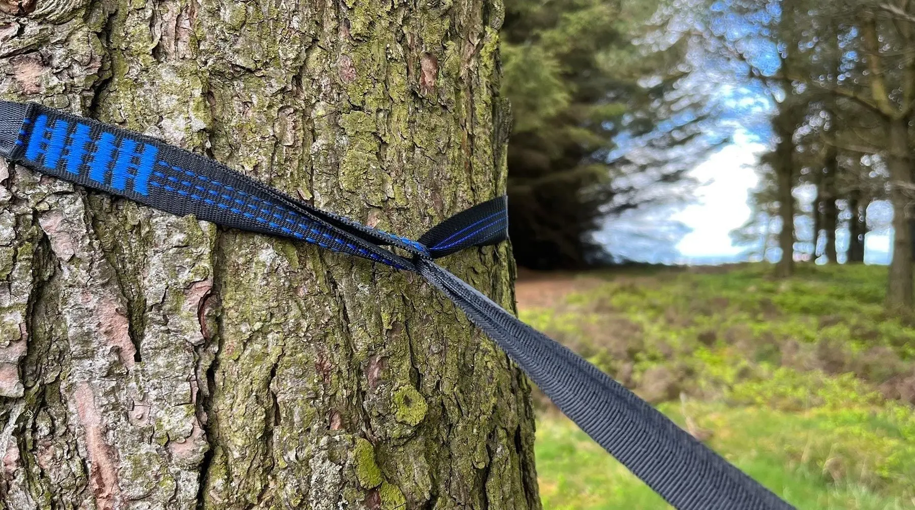 Hamac cu plasă de țințari DD Hammocks Steve Backshall Jungle (Blue) - 8