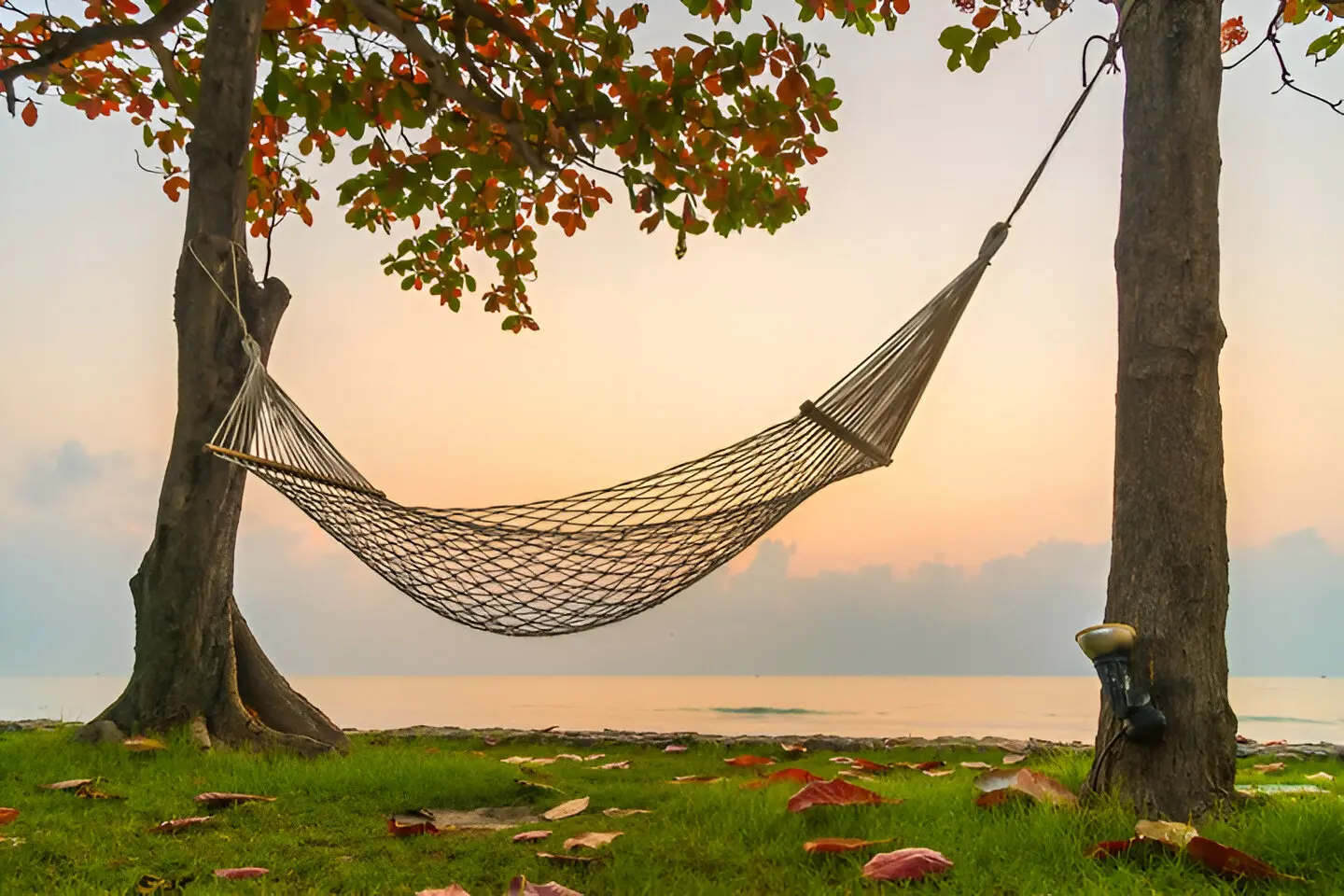 Гамак Enero Camp HAM5257 (Beige)