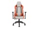 Fotoliu gaming 1StPlayer DK2 PRO (Gray/Orange)