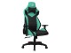 Fotoliu gaming 1StPlayer WIN 101 (Black/Green)