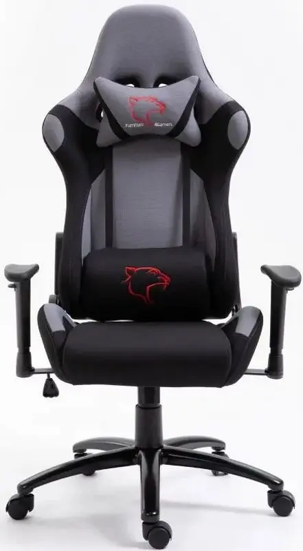 Fotoliu gaming Akord F4G FG38 (Graphite)