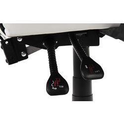 Геймерское кресло FunFit Elite 2669 (Black/White) Thumb