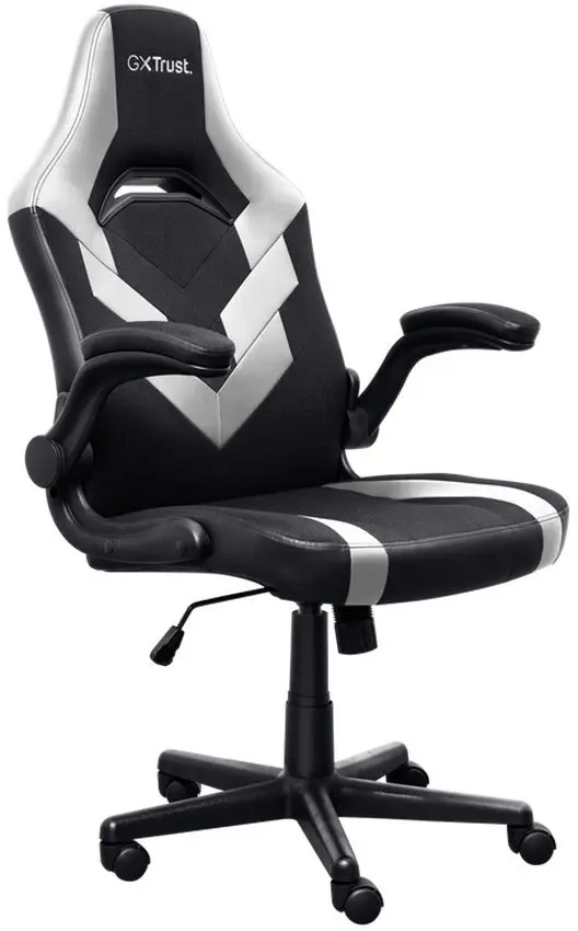 Игровое кресло Trust GXT 703W RIYE (Black/White)