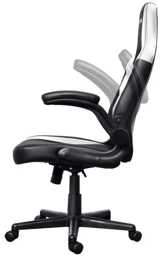 Игровое кресло Trust GXT 703W RIYE (Black/White)