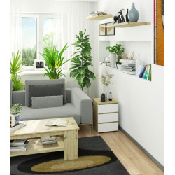 Comoda Akord CL3 40cm 3SZ (Artisan Oak/White) Thumb