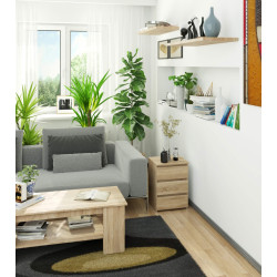 Comoda Akord CL3 40cm 3SZ (Sonoma Oak) Thumb