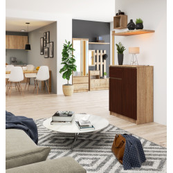 Тумба Akord K80 2D 1SZ (Wenge/Sonoma)