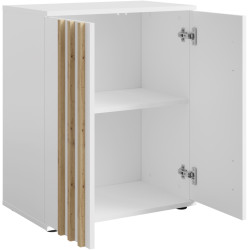 Tumba Tempo Kondela Tolis Typ 1 2D (White/Artisan Oak) Thumb