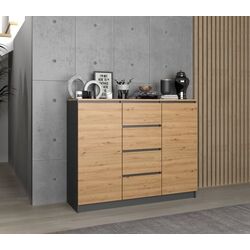 Tumba TopEshop 2D4S 120 BA (Artisan Oak/Anthracite)