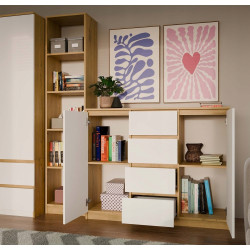 Тумба TopEshop 2D4S (Artisan Oak/White) Thumb