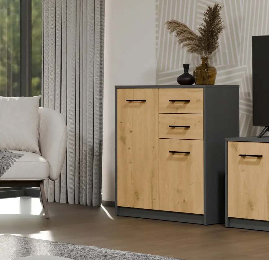 Тумба TopEshop Simplo 2D2S (Anthracite/Artisan Oak)