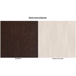 Детская Астрид-Мебель Юниор 1 3000 (Дуб Венге/Бодега Светлый) Thumb