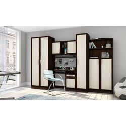 Детская Астрид-Мебель Юниор 1 3000 (Дуб Венге/Бодега Светлый)