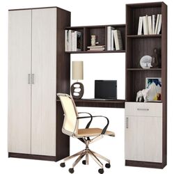 Детская Астрид-Мебель Юниор 3 (Ясень Анкор Тёмный/Ясень Анкор Белый)