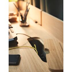 Set de mobila pentru oficiu Ikea Ridspo/Bjorkberget (Stejar/Bej) Thumb