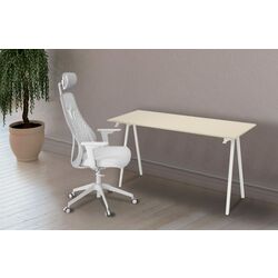 Комплект офисной мебели Ikea Trotten/Matchspel 80x140 (Бежевый/Белый/Серый)