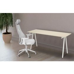 Set de mobila pentru oficiu Ikea Trotten/Matchspel 80x160 (Bej/Alb/Gri)