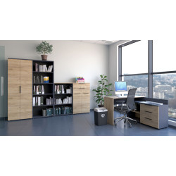 Set mobila pentru oficiu Tempo Kondela Klaudius (Graphite/Artisan Oak)