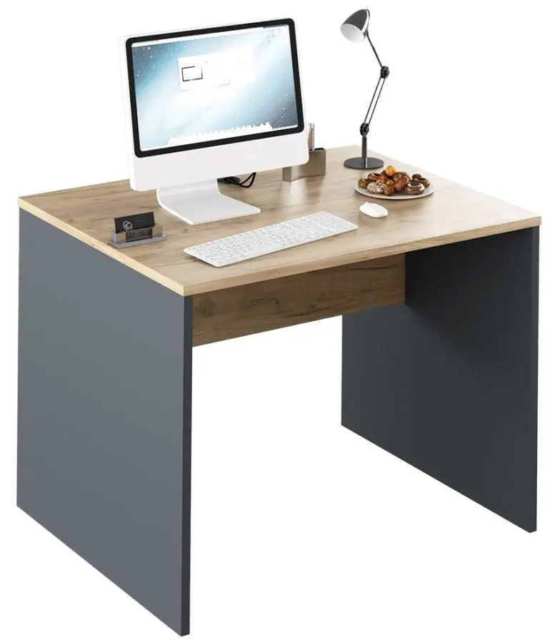 Masa de birou Tempo Kondela Rioma New Typ 12 (Graphite/Artisan Oak)