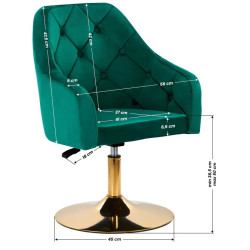 Fotoliu de coafor 4Rico QS-BL14G 148153 (Green) Thumb