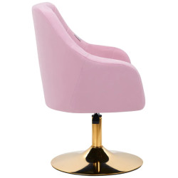 Fotoliu de coafor 4Rico QS-BL14G 150126 (Pink) Thumb