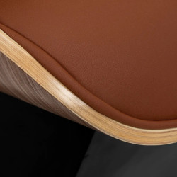 Кресло парикмахерское Gabbiano Florencja 155654 (Black/Brown) Thumb