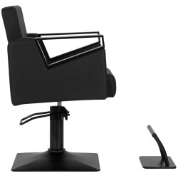Кресло парикмахерское Hair System Duplex Noir 154333 (Black) Thumb