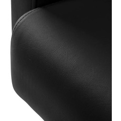Кресло парикмахерское Hair System Duplex Noir 154333 (Black) Thumb