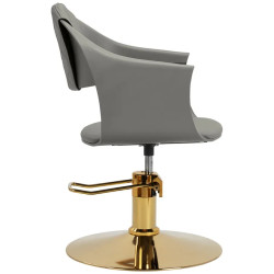 Кресло парикмахерское Hair System Halo 154315 (Grey/Gold) Thumb