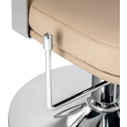 Кресло парикмахерское Omega Astra Plus 154513 (Beige/Silver) Thumb
