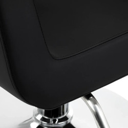 Кресло парикмахерское Omega Lyra 154509 (Black/Silver) Thumb