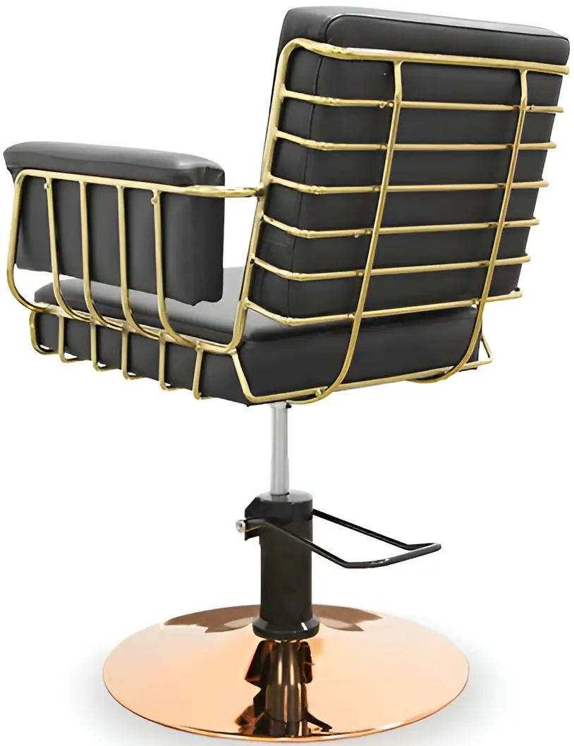 Кресло парикмахерское Quirumed Varsovia (Black/Gold) - 2