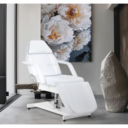 Кресло косметологическое Sillon V2 151011 (White)