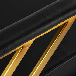 Fotoliu de coafor Gabbiano Genua (Black/Gold) Thumb