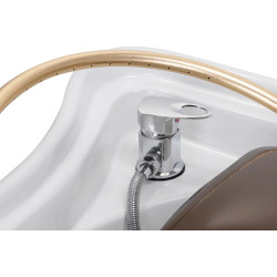 Мойка парикмахерская Gabbiano Head Spa 017 152024 (Brown/White) Thumb