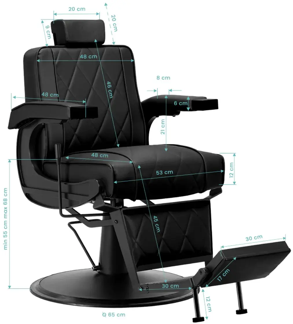 Кресло парикмахерское Hair System BM88066B 154179 (Black) - 13