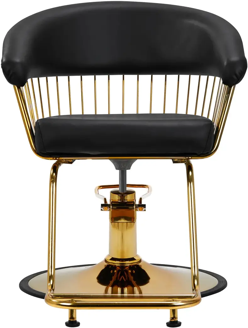 Fotoliu de coafor Hair System Lille 147955 (Black/Gold)
