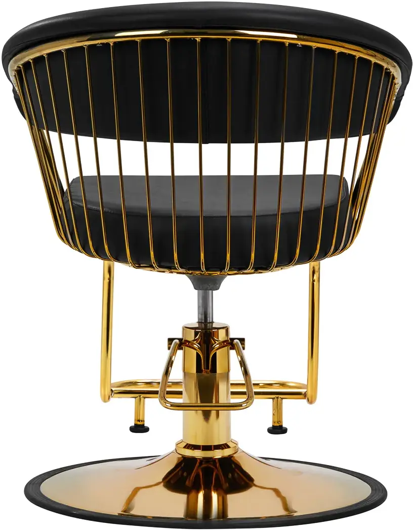 Fotoliu de coafor Hair System Lille 147955 (Black/Gold)